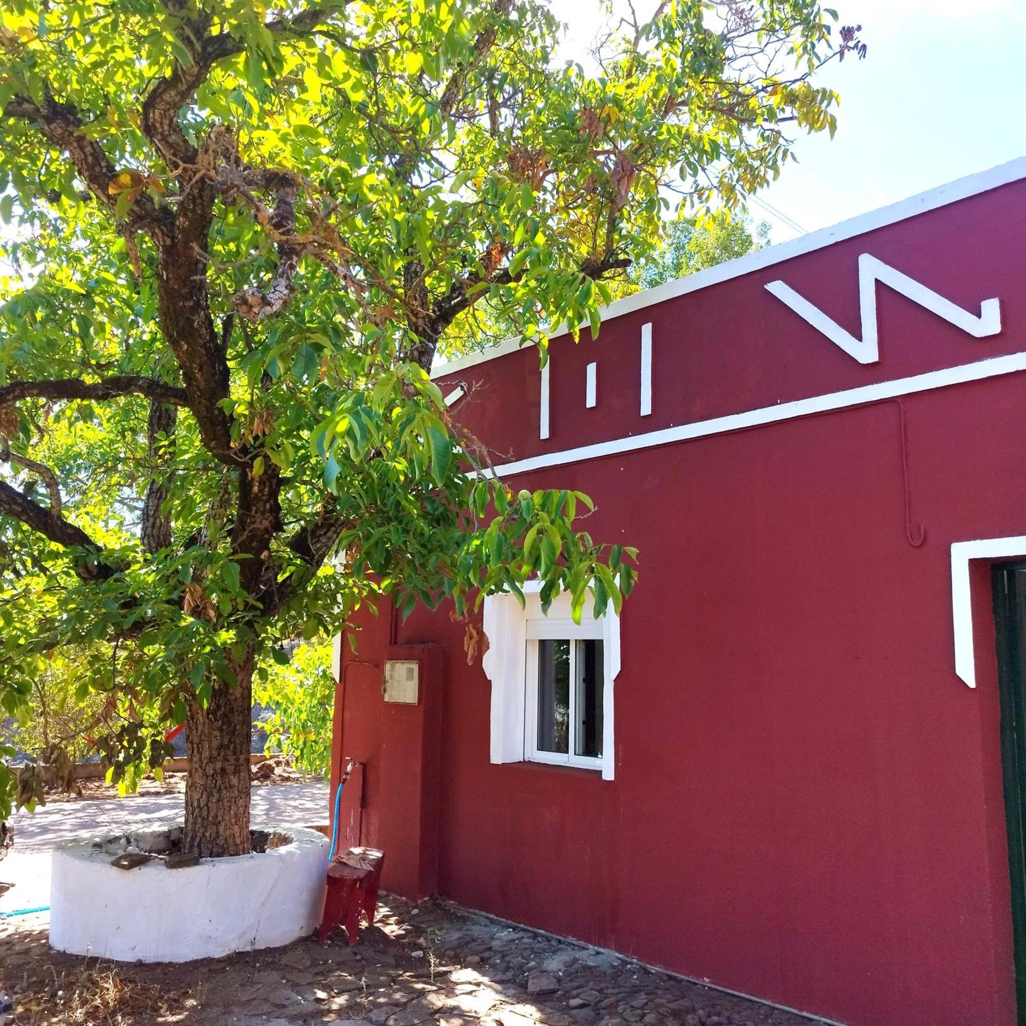 La Casita Hostel Vega de San Mateo Luaran gambar